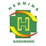 RS Hermina Karawang