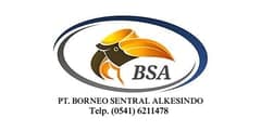 PT Borneo Sentral Alkesindo