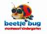 Beetle Bug Paud