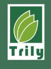 Teh Tarik Jelly (Trily)
